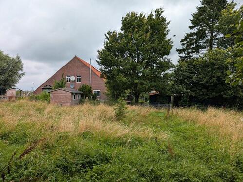 Foto - 2 Zimmer Bauernhaus, Landhaus zum Kaufen in Großheide