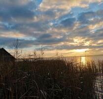 Ferienwohnung direkt am Goldberger See