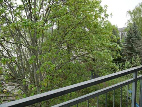 Foto - 3 Zimmer Etagenwohnung in Chemnitz