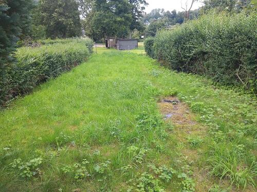 Foto - Garten abzugeben 220 m2 - 100,00&nbsp;EUR Kaltmiete, ca.&nbsp; 0,00&nbsp;m&sup2;
