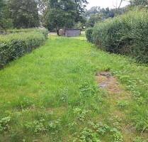 Garten abzugeben 220 m2 - 100,00&nbsp;EUR Kaltmiete, ca.&nbsp; 0,00&nbsp;m&sup2; in Pockau-Lengefeld (PLZ: 09509) Nennigmühle