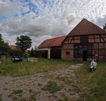 Zentrale Lage: Denkmal-Bauernhaus + Baugrundstück auf 1.800 m² - Edemissen