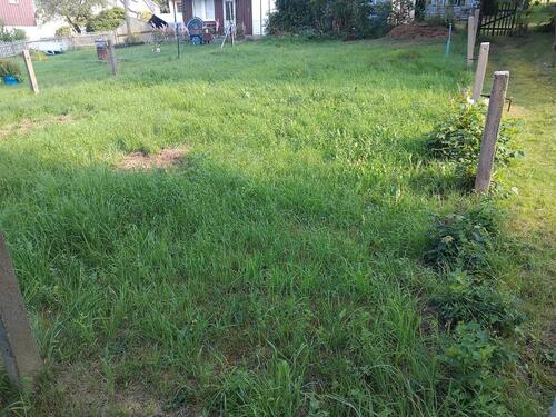 Foto - Garten abzugeben 205 m2 - 100,00&nbsp;EUR Kaltmiete, ca.&nbsp; 0,00&nbsp;m&sup2;