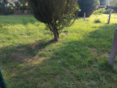 Foto - Grundst&uuml;ck in Pockau-Lengefeld