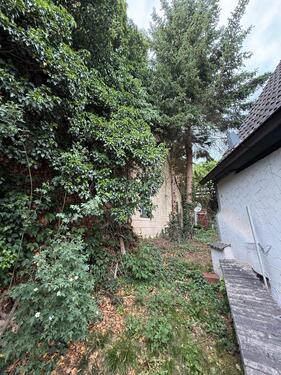 Foto - Einfamilienhaus in Abenberg zum Kaufen