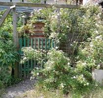 Garten in Vinnhorst, Vinnhorsterweg - Hannover Herrenhausen-Stöcken