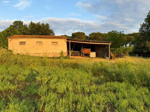 Foto - Einfamilienhaus in Steinheim an der Murr