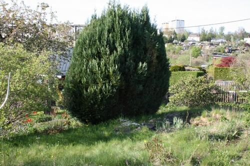 Foto - Gartengrundstück zur Pacht - 600,00&nbsp;EUR Kaltmiete, ca.&nbsp; 0,00&nbsp;m&sup2;