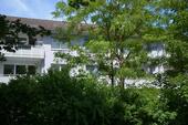 Foto - andere in Eltville am Rhein