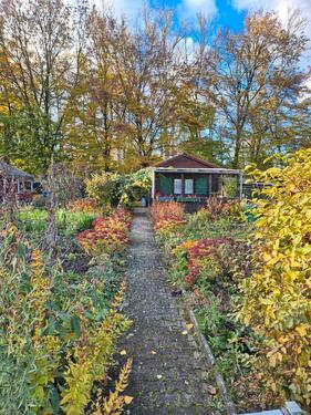 Foto - Pachtgarten im Kleingartenverein Burlafingen