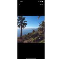 La Palma! Kanarische Insel - Traum - freie Termine - Berlin Steglitz-Zehlendorf