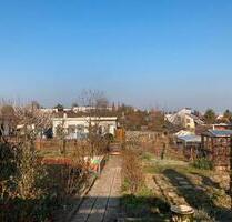 Pachtgarten Kleingarten in toller Lage - Erfurt Andreasvorstadt