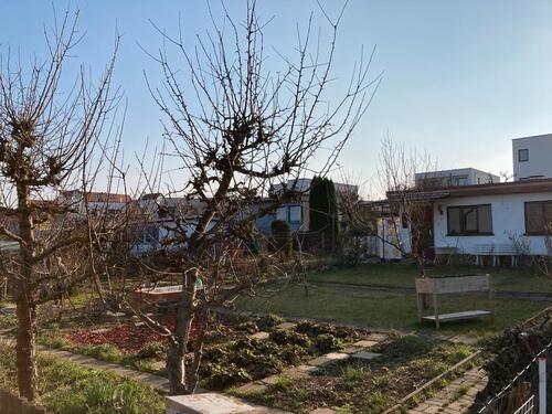 Foto - Grundst&uuml;ck zur Miete in Erfurt