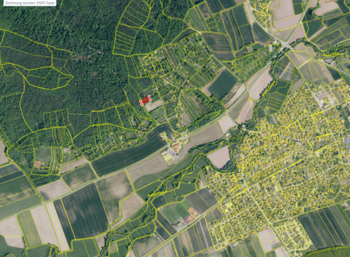 Foto - Wald-Wiesen-Grundstück am Distelberg, Pettstadt