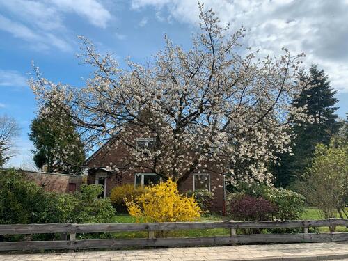 Foto - 6 Zimmer Einfamilienhaus zum Kaufen in Faßberg