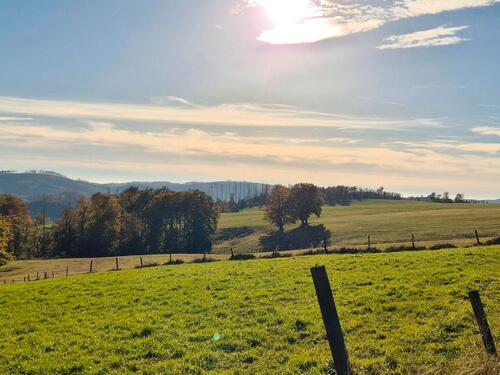 Foto - Gemütliche Ferienwohnung Harz Braunlage Andreasberg Waldrandlage