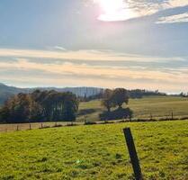Gemütliche Ferienwohnung Harz Braunlage Andreasberg Waldrandlage