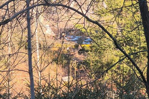 Foto - andere zur Miete in Braunlage