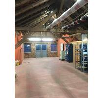 Lagerraum zu Vermieten - 460,00 EUR Kaltmiete, ca.  4,00 m² in Springe (PLZ: 31832)