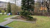 Foto - Renovierte 3-Zimmer Wohnung 60qm Schloßchemnitz - Balkon & Garten