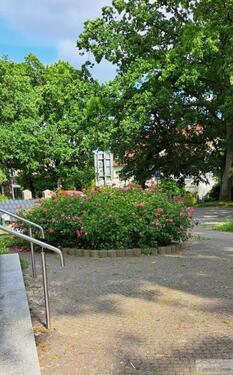 Foto - andere in Putbus zur Miete