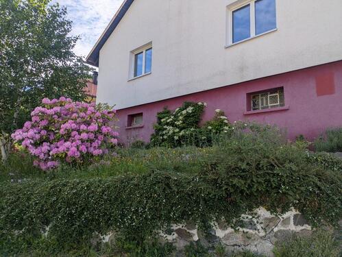 Foto - Freistehendes Haus in Todtnau-Brandenberg