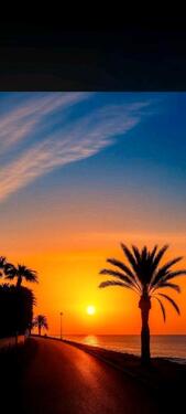 Foto - befristete Wohnung zu vermieten - Alicante