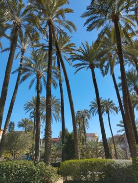 Foto - 2 Zimmer Etagenwohnung zur Miete in Mannheim