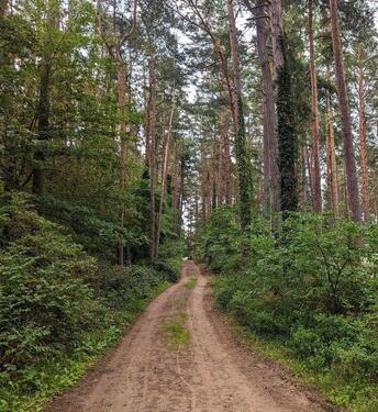 Foto - andere zur Miete in Lubmin