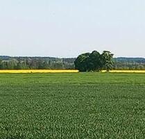 Feld pachten - 1.000,00&nbsp;EUR Kaltmiete, ca.&nbsp; 0,00&nbsp;m&sup2; in Titting (PLZ: 85135)