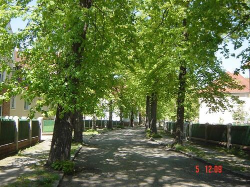 Foto - 2 Zimmer Etagenwohnung zur Miete in Senftenberg