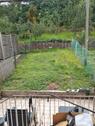 Foto - Haus zu Vermieten - 750,00 EUR Kaltmiete,