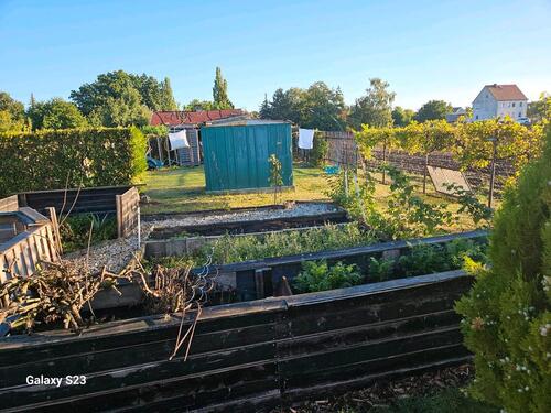 Foto - Grundstück zur Miete in Halle (Saale)