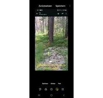 Wald Limbach Pommersfelden 5980 qm