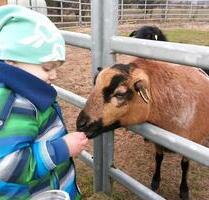 Ferienwohnung nähe Nordsee Ostsee - Viöl