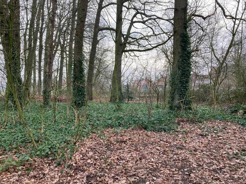 Foto - Einfamilienhaus in Schwaförden zum Kaufen