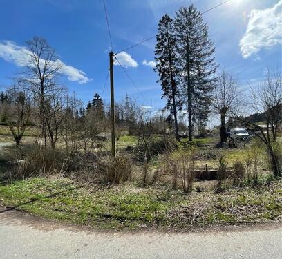 Foto - Grundst&uuml;ck zur Miete in Altenbeken