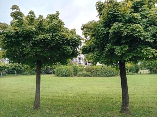 Foto - 2-Zimmer-Wohnung in ruhiger Umgebung mit kleinem Garten