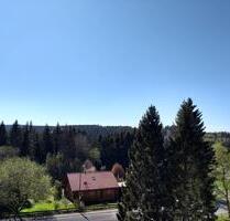 Gemütliche, ruhige Ferienwohnung Altenau Harz 45qm Wlan privat - Harz (LK Goslar) Bergstadt Altenau-Schulenberg i.O.