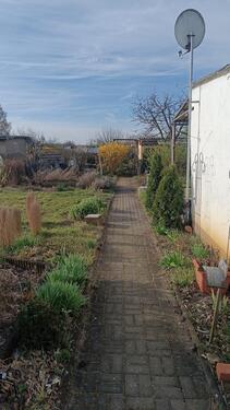 Foto - Grundstück in Cottbus zur Miete
