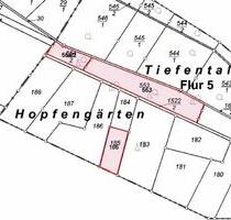 Waldflächen in Caan - 1.210,00 EUR Kaltmiete, ca.  0,00 m² in Nauort (PLZ: 56237)