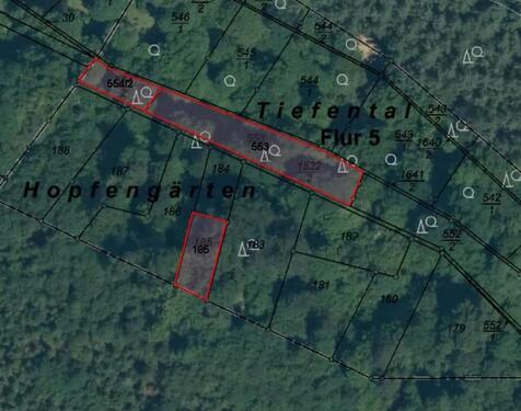 Foto - Grundstück zur Miete in Nauort