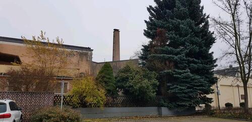 Foto - 5 Zimmer Einfamilienhaus in Rehau