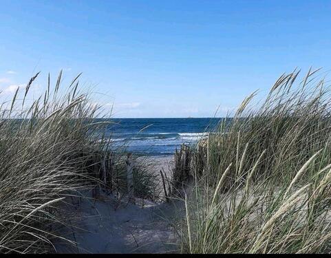 Foto - ☀️☀️☀️ Ferienwohnung Leuchtturm Ostsee Kalifornien Strand