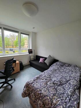 Foto - 1 Zimmer Etagenwohnung zur Miete in Cottbus