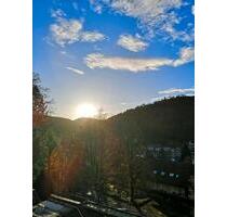 1 Zimmer Wohnung Appartement Saniert Küche Schwimmbad barierfrei - Bad Herrenalb