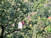 Foto - Villa in Eisenach zum Kaufen