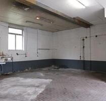 Hallen (Lager, Produktion, Werkstatt) 100qm verkehrsgünstig in 66976 Rodalben zu vermieten