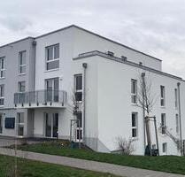 Hargesheim: 2ZKB, EBK, Stellplatz, Neubau, Erstbezug - Norheim