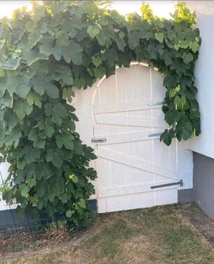 Foto - Bungalow in Boppard zum Kaufen